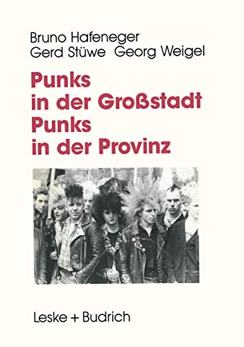 Punks in der Großstadt - Punks in der Provinz: Projektberichte aus der Jugendarbeit (German Edition)
