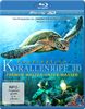 Faszination Korallenriff 3D - Fremde Welten unter Wasser (3D Version inkl. 2D Version & 3D Lenticular Card) [3D Blu-ray]