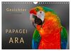 Gesichter - Papagei Ara (Wandkalender 2023 DIN A4 quer), Calvendo Monatskalender