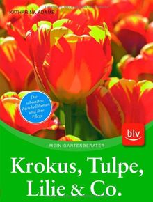 Krokus, Tulpe, Lilie & Co: Die schönsten Zwiebelblumen und ihre Pflege von Adams, Katharina | Buch | Zustand sehr gut