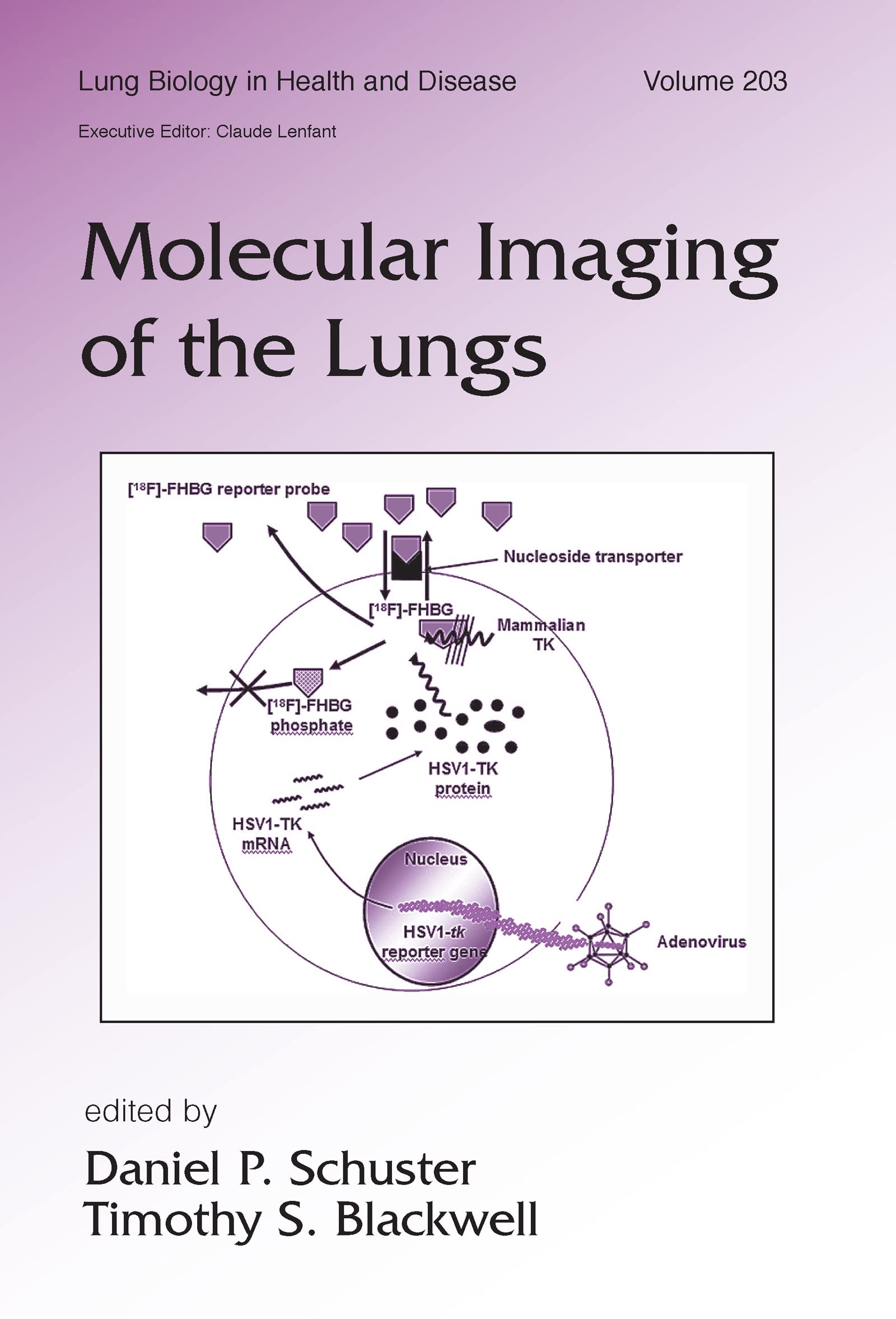 Molecular Imaging of the Lungs (Lung Biology in Health and Disease, 203, Band 203)