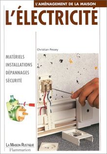 L'électricité von Pessey, Christian | Buch | Zustand gut