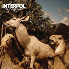 Our Love to Admire de Interpol | CD | état bon