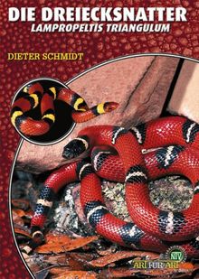 Die Dreiecksnatter: Lampropeltis triangulum