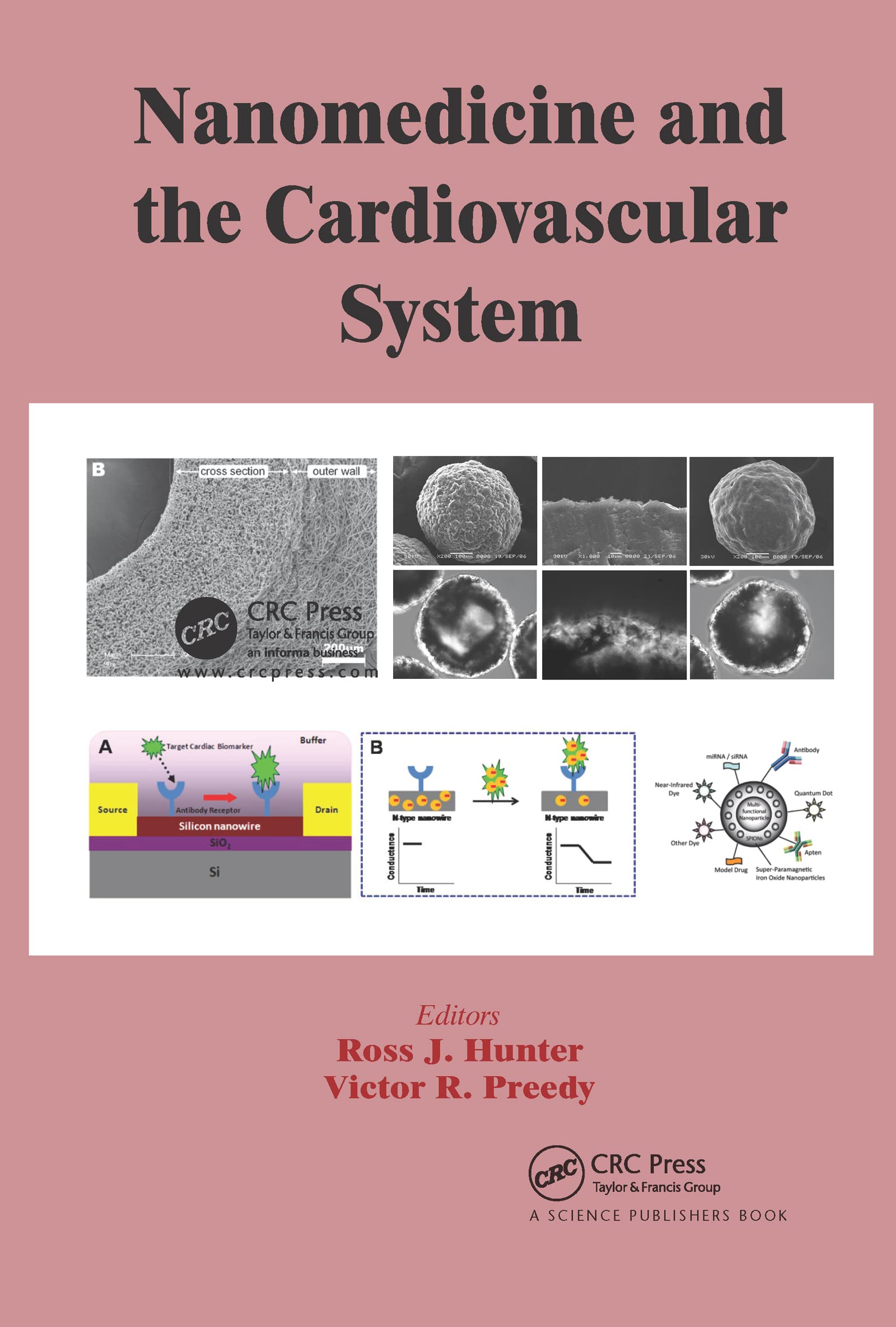 Nanomedicine and the Cardiovascular System