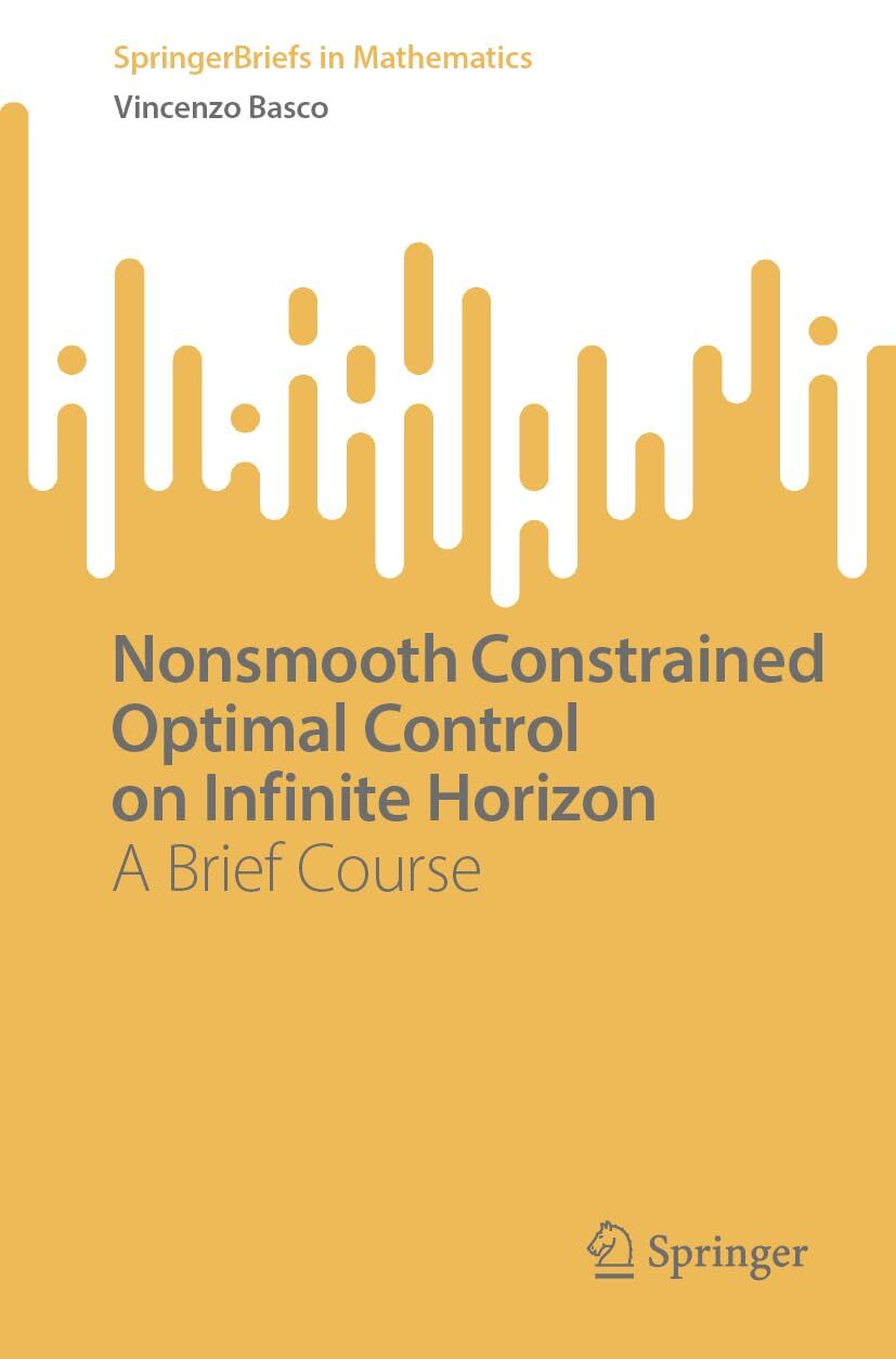 Nonsmooth Constrained Optimal Control on Infinite Horizon