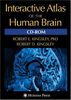 Interactive Atlas of the Human Brain.