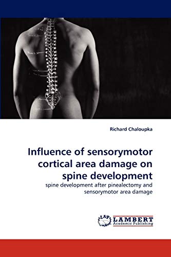 Influence of sensorymotor cortical area damage on spine development: spine development after pinealectomy and sensorymotor area damage