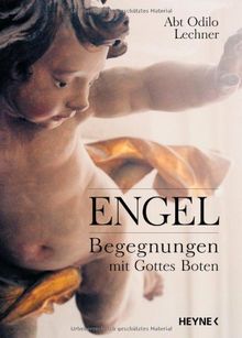 Engel: Begegnungen mit Gottes Boten