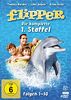 Flipper - Die komplette 1. Staffel [4 DVDs]