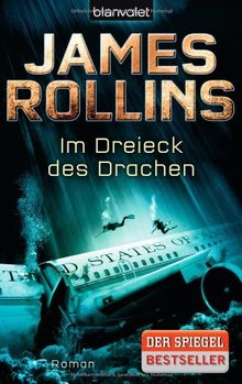 Im Dreieck des Drachen: Roman