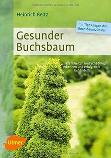 Gesunder Buchsbaum: Krankheiten und Schädlinge erkennen und erfolgreich behandeln