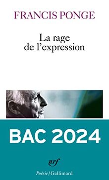 La rage de l'expression