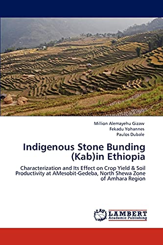 Indigenous Stone Bunding (Kab)in Ethiopia: Characterization and Its Effect on Crop Yield & Soil Productivity at AMesobit-Gedeba, North Shewa Zone of Amhara Region