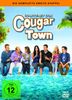 Cougar Town - Die komplette zweite Staffel [4 DVDs]
