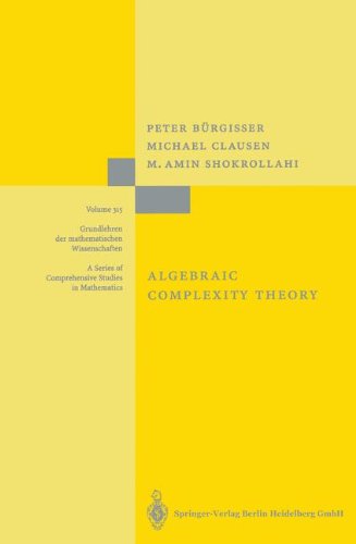 Algebraic Complexity Theory (Grundlehren der mathematischen Wissenschaften)