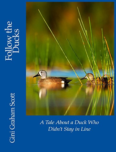 Follow the Ducks: A Tale About a Duck Who Didn't Stay in Line