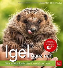 Igel ganz nah: Wie er lebt & wie man ihn schützen kann