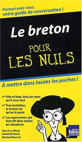 Le Breton Pour Les Nuls