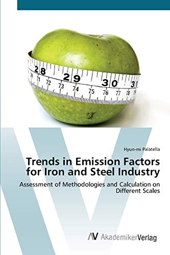 Trends in Emission Factors for Iron and Steel Industry: Assessment of Methodologies and Calculation on Different Scales