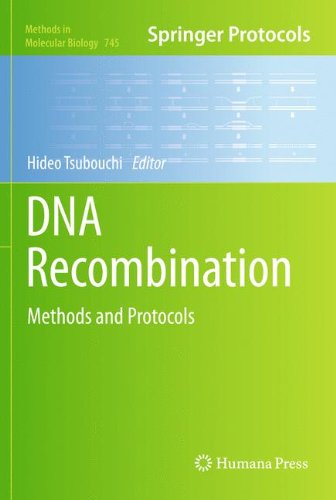DNA Recombination: Methods and Protocols (Methods in Molecular Biology)
