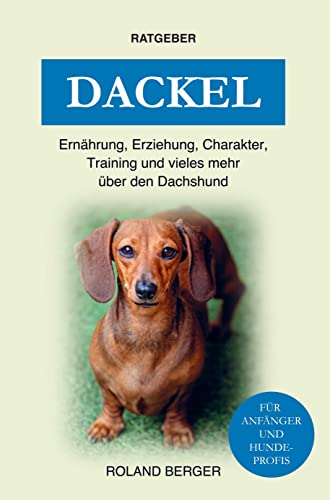 Dackel: Erziehung, Charakter, Ernährung, Training und einiges mehr über den Dachshund