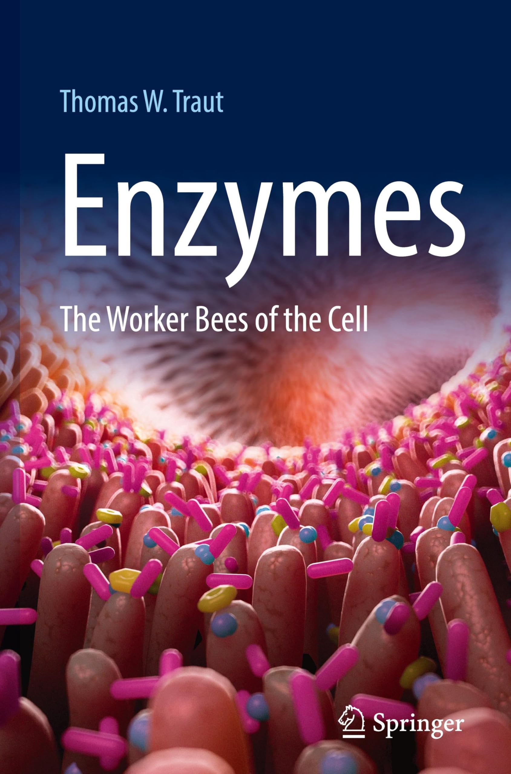Enzymes: The Worker Bees of the Cell
