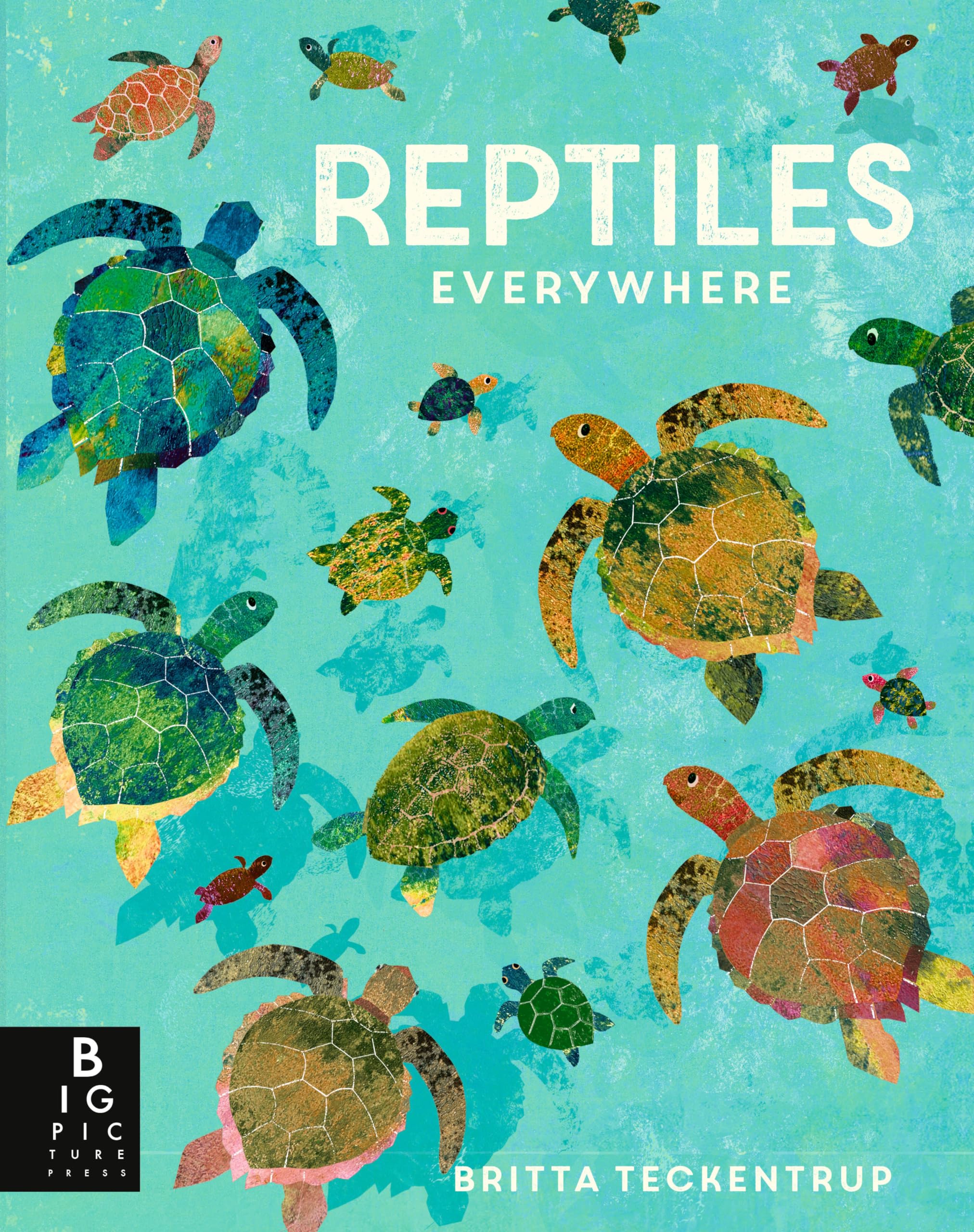 Reptiles Everywhere (Animals Everywhere)