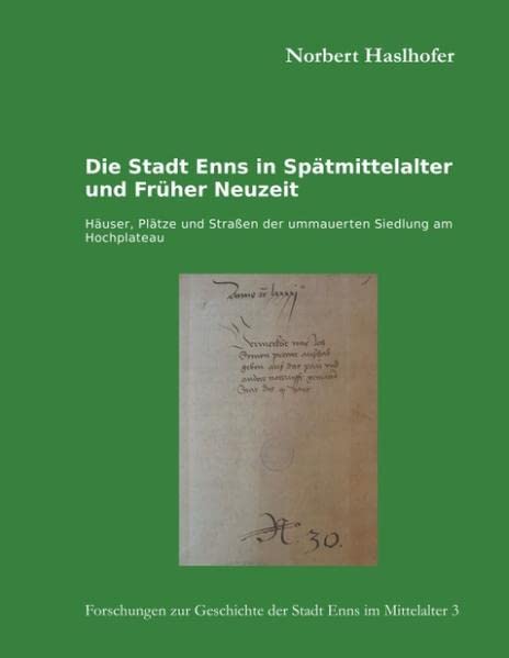 Die Stadt Enns in Spätmittelalter und Früher Neuzeit: Häuser, Plätze und Straßen der ummauerten Siedlung am Hochplateau (Forschungen zur Geschichte der Stadt Enns im Mittelalter)
