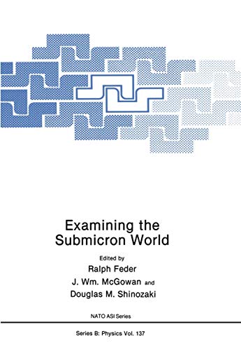 Examining the Submicron World (Nato ASI Subseries B:, 137, Band 137)