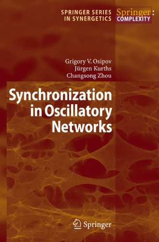 Synchronization in Oscillatory Networks (Springer Series in Synergetics)