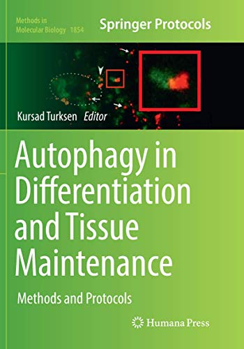 Autophagy in Differentiation and Tissue Maintenance: Methods and Protocols (Methods in Molecular Biology, 1854, Band 1854)