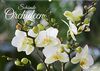 Schönste Orchideen (Wandkalender 2024 DIN A2 quer): Fantastische Orchideenblüten, gelungen in Szene gesetzt (Monatskalender, 14 Seiten ) (CALVENDO Natur)