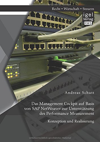 Das Management Cockpit auf Basis von Sap NetWeaver zur Unterstützung des Performance Measurement: Konzeption und Realisierung