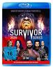 WWE - Survivor Series 2020 [Blu-ray]