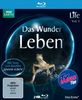 Life - Das Wunder Leben. Vol. 1. Die Serie zum Film "Unser Leben" [Blu-ray]