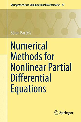 Numerical Methods for Nonlinear Partial Differential Equations (Springer Series in Computational Mathematics)