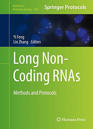Long Non-Coding RNAs: Methods and Protocols (Methods in Molecular Biology)
