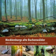 Mecklenburgs alte Buchenwälder: UNESCO-Weltnaturerbe Serrahn und Feldberger Schutzgebiete