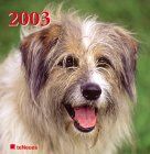 Hunde 2003
