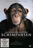 Im Königreich der Schimpansen