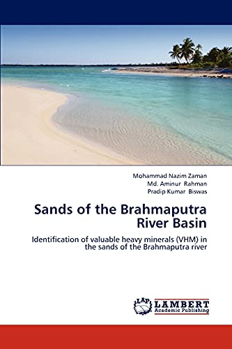 Sands of the Brahmaputra River Basin: Identification of valuable heavy minerals (VHM) in the sands of the Brahmaputra river