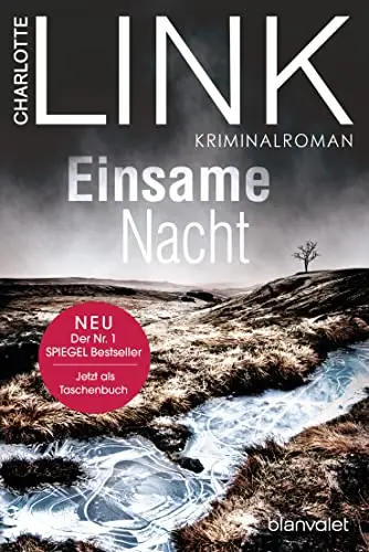 Einsame Nacht Cover