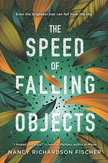 The Speed of Falling Objects