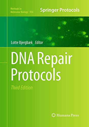 DNA Repair Protocols (Methods in Molecular Biology, 920, Band 920)