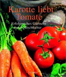 Karotte liebt Tomate. Die richtige Pflanzengemeinschaft.