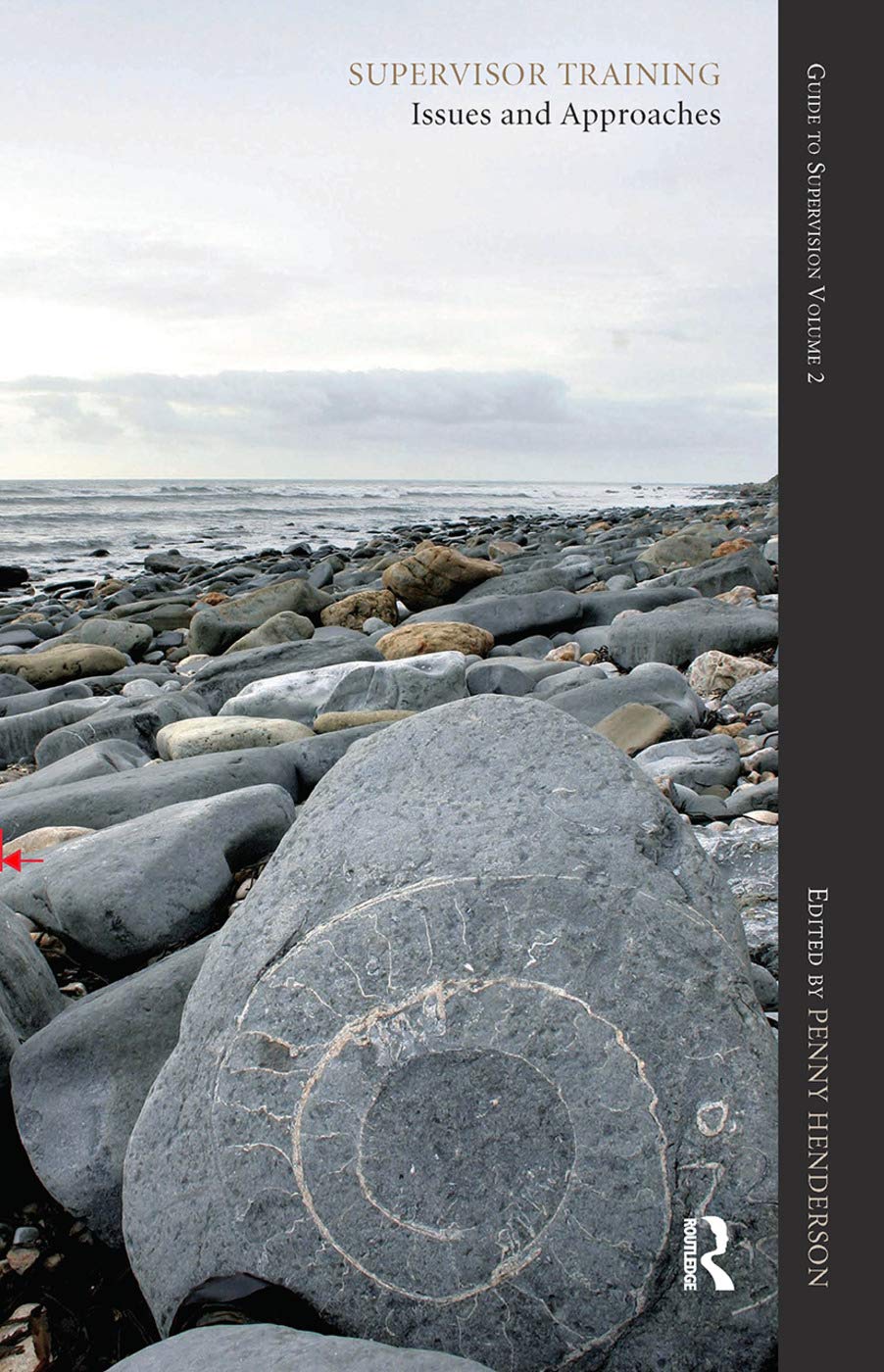 Supervisor Training: Issues and Approaches: Guide to Supervision