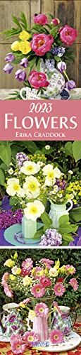Flowers Langplaner 2023: Langplaner