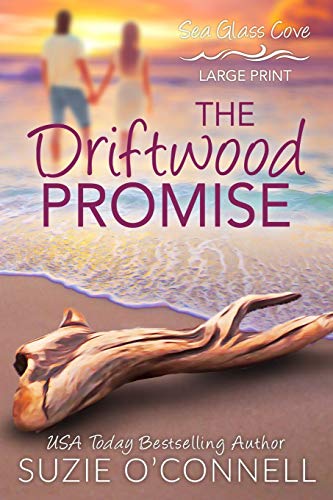 The Driftwood Promise (Sea Glass Cove, Band 2)