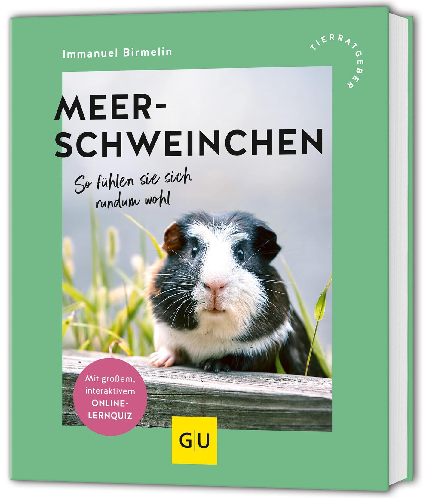 Buch Nobby Pet Kratzbrettmeerschweinchen, So Fühlen Sie Sich Rundum Wohl